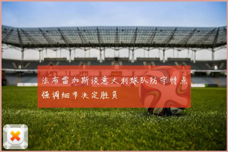 法布雷加斯谈意大利球队防守特点强调细节决定胜负
